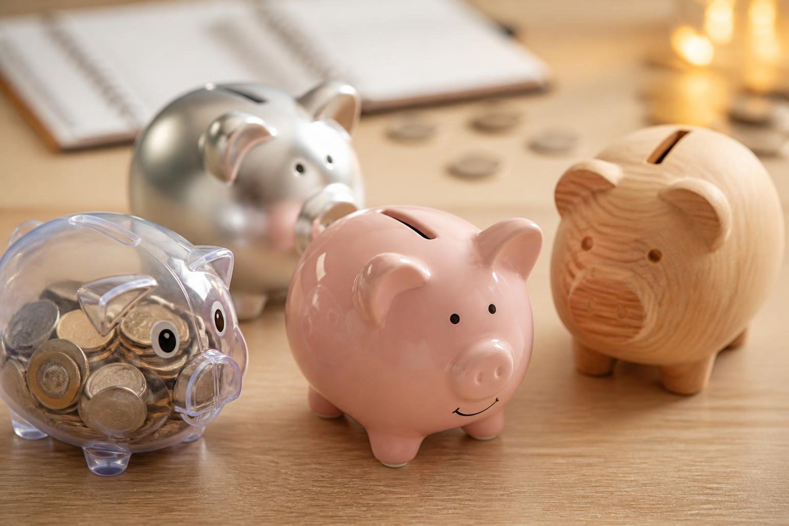 Cochon tirelire : comment choisir le modèle idéal pour économiser